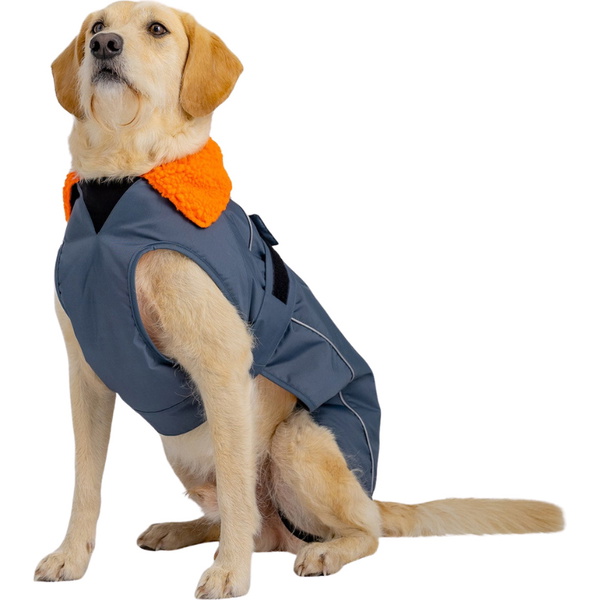 2025 Dryrobe Dog Coat DOGROBE - Dark Grey / Orange